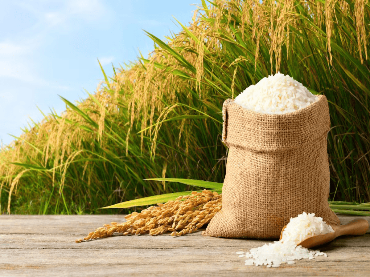 Rice Mill