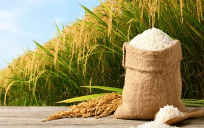 Rice Mill